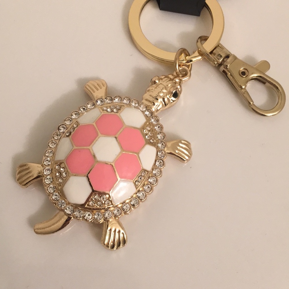 Keychain🐢